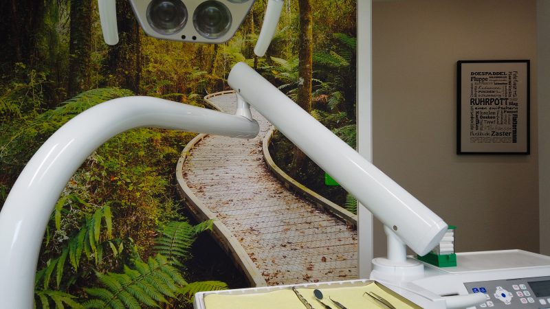 Blick ins Amazonaszimmer