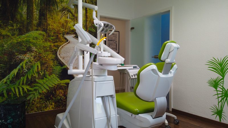 Blick ins Amazonaszimmer