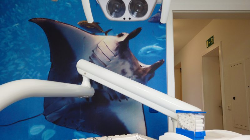 Blick ins Uterwasserzimmer